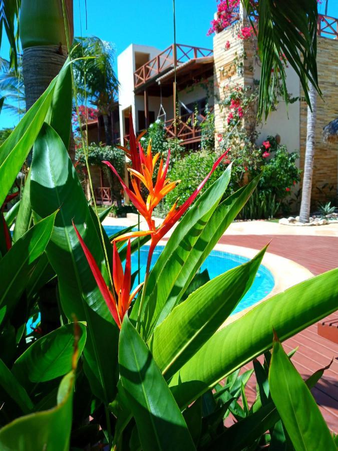 Serrote Apartamento Jericoacoara Eksteriør billede